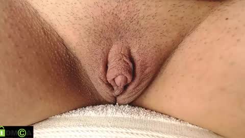 Mikell Williams online show from February 2025 12:40:01 PM