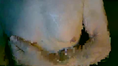 Snapshot of mikenyc55 chatting on October 2025 03:10:02 PM mikenyc55 online show from October 2025 03:10:02 PM