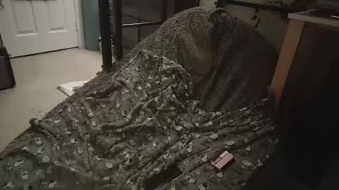 milky479 online show from March 2026 08:40:02 AM