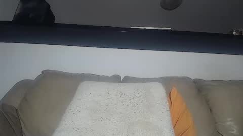 C online show from February 2025 07:40:01 AM