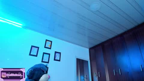        online show from October 2025 02:31:01 AM