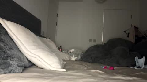 Mimi Monroe  online show from November 2025 07:01:02 PM