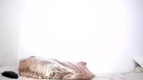 mina smith online show from March 2026 03:39:01 PM