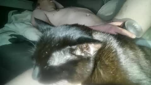 Snapshot of mirtoblack chatting on October 2025 01:53:02 AM mirtoblack online show from October 2025 01:53:02 AM