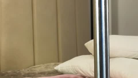 Snapshot of misatosan_ chatting on January 2025 01:11:02 PM Annie dont forget to thumbs up me online show from January 2025 01:11:02 PM