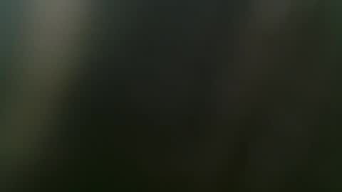 Misha online show from February 2025 03:50:02 PM