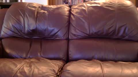 misohoney007 online show from April 2026 12:42:01 PM