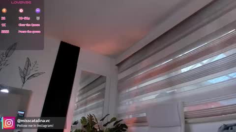 Catalina online show from November 2025 11:43:02 AM