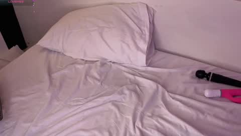   online show from March 2026 08:26:33 AM