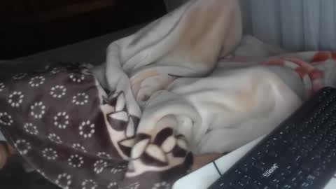 sarah online show from December 2024 04:30:02 AM