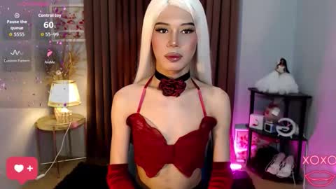 Stella online show from October 2025 07:53:01 AM