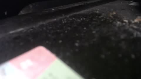 Calipso online show from April 2026 12:30:01 PM