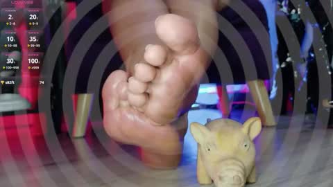 Jhadee online show from October 2025 08:42:02 PM