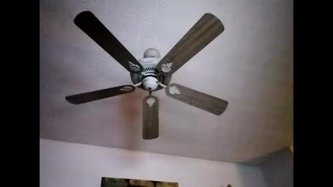 BobbyMitchGa online show from December 2024 12:05:02 PM