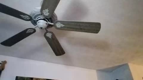 BobbyMitchGa online show from September 2025 12:10:02 PM