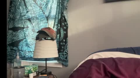 MNTuiLa online show from January 2025 03:15:01 PM