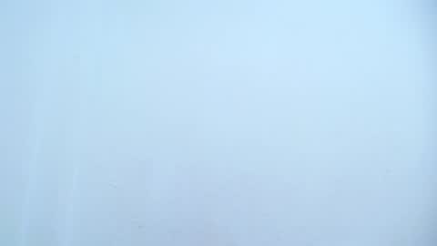 Catalina online show from March 2025 08:33:02 AM