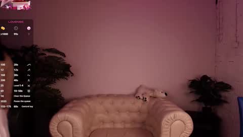 hey meet with me online show from January 2026 02:35:02 AM