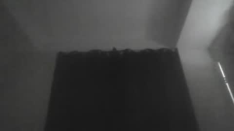 modelstar123 online show from March 2026 09:38:01 AM