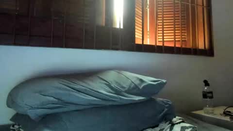 Snapshot of moderdelier chatting on January 2025 10:11:02 PM DigBreed online show from January 2025 10:11:02 PM