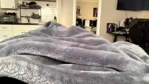 moethecheater7 online show from February 2026 07:54:02 PM