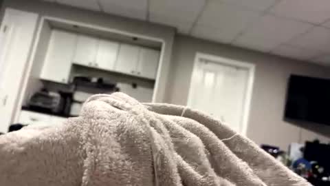 moethecheater7 online show from February 2026 08:24:02 AM