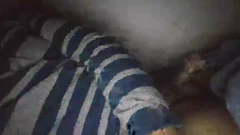 moeydsad4 online show from November 2025 02:49:01 PM