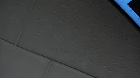 Hey Guys  Im Mollie online show from February 2026 12:02:02 PM