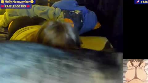 molly_moons online show from November 2025 07:03:01 AM