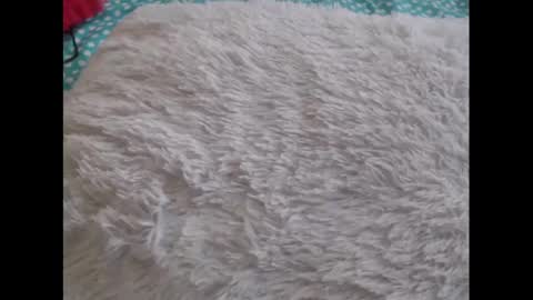 Snapshot of mollyandbra chatting on February 2025 10:21:01 PM Molly And Brad online show from February 2025 10:21:01 PM