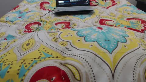 Snapshot of mollyandbra chatting on September 2025 09:27:01 PM Molly And Brad online show from September 2025 09:27:01 PM