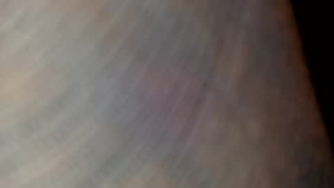 Snapshot of mommabearanpoppabear850 chatting on December 2025 02:21:01 AM mommabearanpoppabear850 online show from December 2025 02:21:01 AM