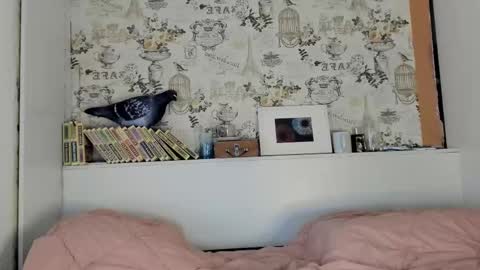 Liza online show from September 2025 09:59:02 PM