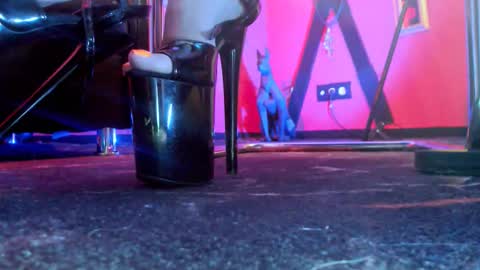 Monika online show from February 2026 11:39:01 AM