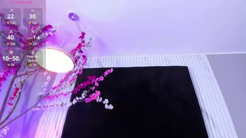 MONIK FOX online show from December 2025 08:37:02 PM