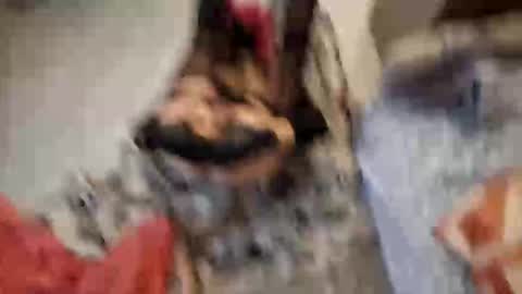 Monikina online show from February 2026 01:52:01 PM