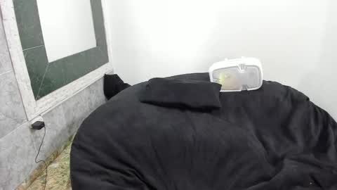 Snapshot of monkeyd_66 chatting on February 2025 09:10:01 AM monkeyd_66 online show from February 2025 09:10:01 AM