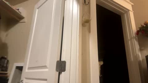 Monroe online show from December 2024 07:37:01 AM