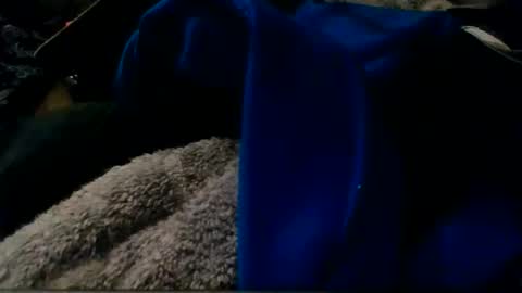 montanacock666 online show from November 2025 06:28:01 AM