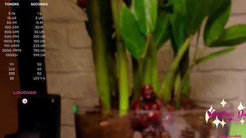 Luna  online show from February 2025 04:20:01 PM