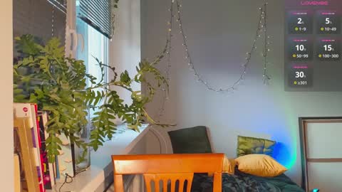 Dana online show from January 2025 01:58:01 PM