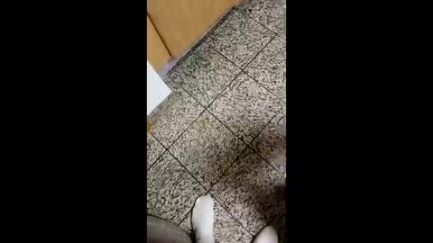 moos1 online show from October 2025 04:10:01 AM