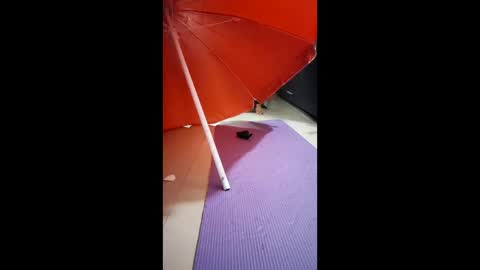 morbucksrica online show from February 2026 03:25:01 AM