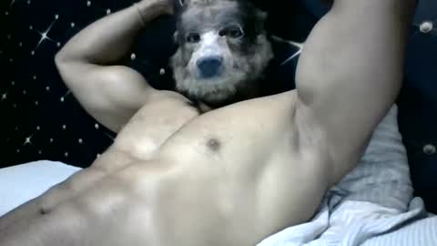 Snapshot of moreno1muscular chatting on March 2025 09:11:02 PM moreno1muscular online show from March 2025 09:11:02 PM