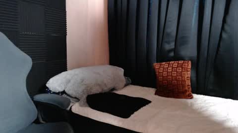 Snapshot of morenojake chatting on April 2026 02:34:01 AM morenojake online show from April 2026 02:34:01 AM