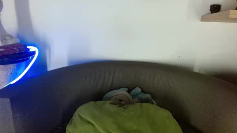 morgan online show from October 2025 03:53:02 AM