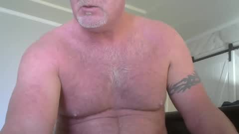 Snapshot of motorguy08 chatting on December 2024 09:35:01 PM motorguy08 online show from December 2024 09:35:01 PM