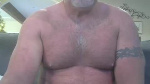 Snapshot of motorguy08 chatting on December 2024 04:20:01 PM motorguy08 online show from December 2024 04:20:01 PM