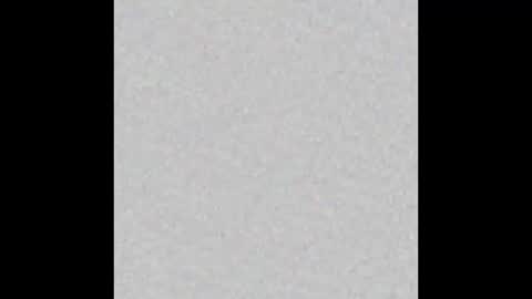 mpmann online show from January 2025 02:14:02 PM