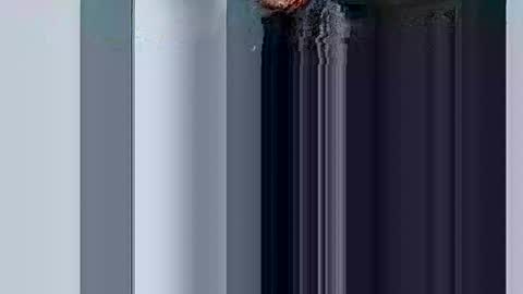 mr_i_ online show from March 2025 08:37:02 AM